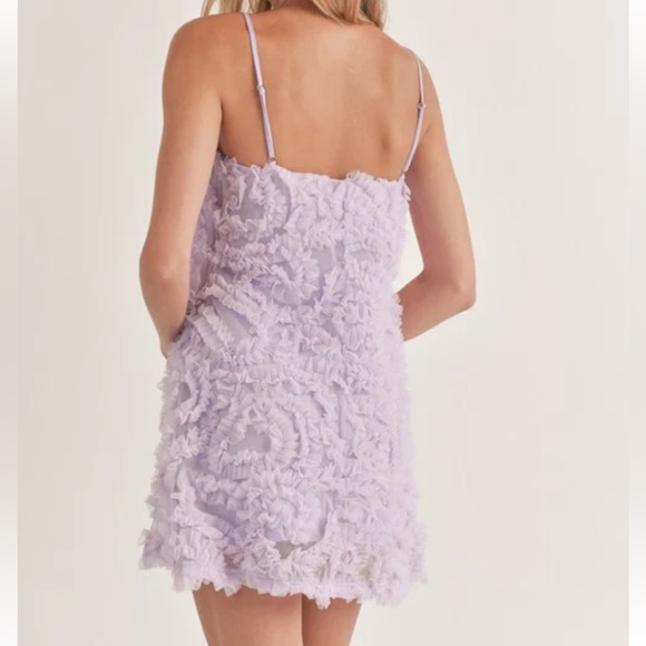 KLESIS tulle mesh texture dress - Picture 3 of 7